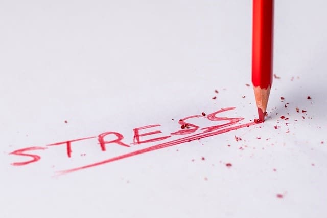 New research reveals causes and implications of SME workplace stress
