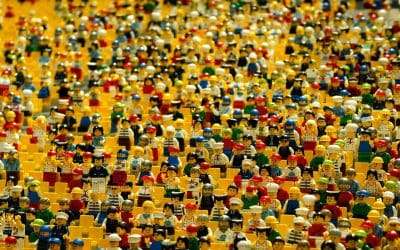 Process + people – a powerful proposition for any SME