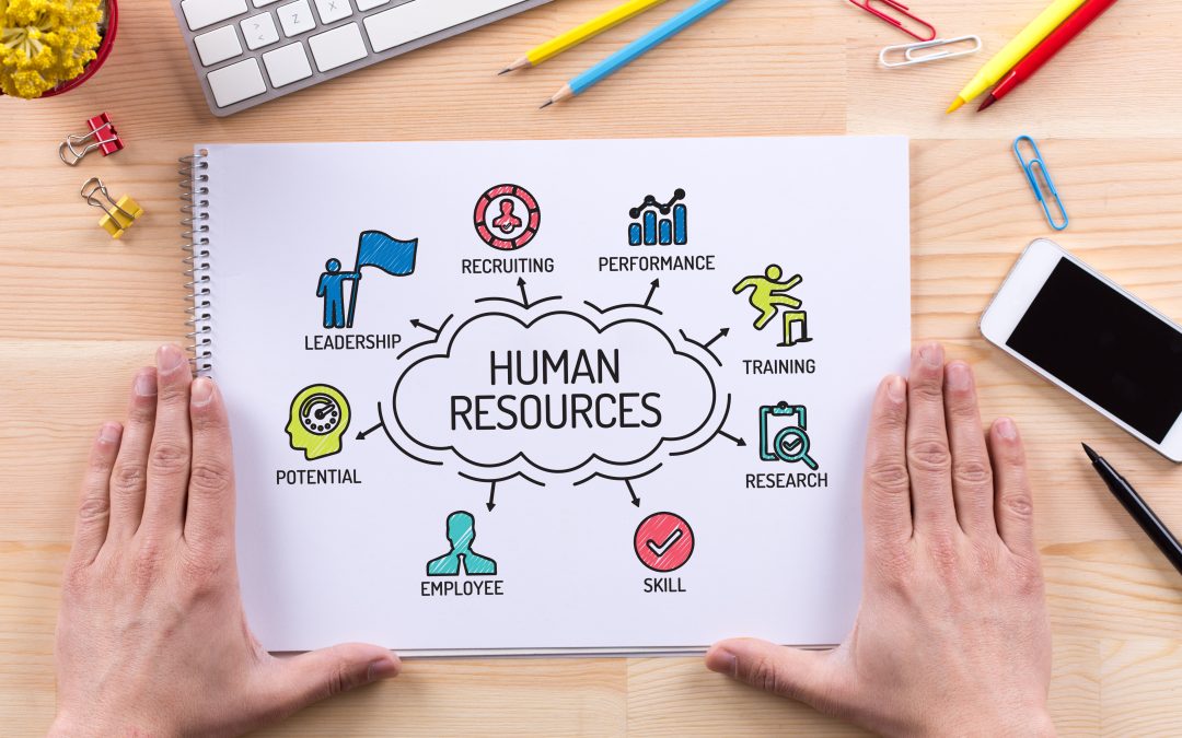 What is the Role of Human Resources in the Business Life Cycle?