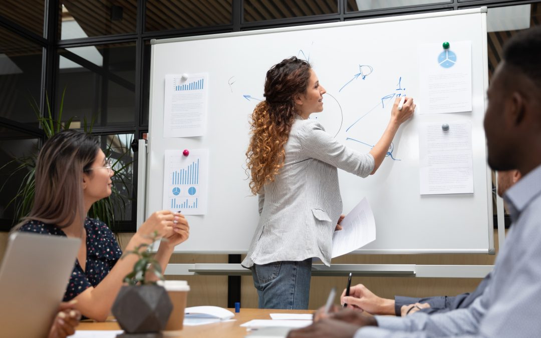 What is HR Planning During the Organization Life Cycle?