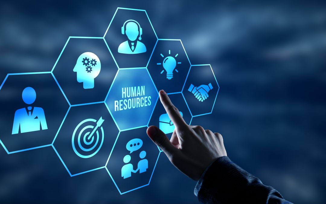How does HR Relate to the Employee Life Cycle?