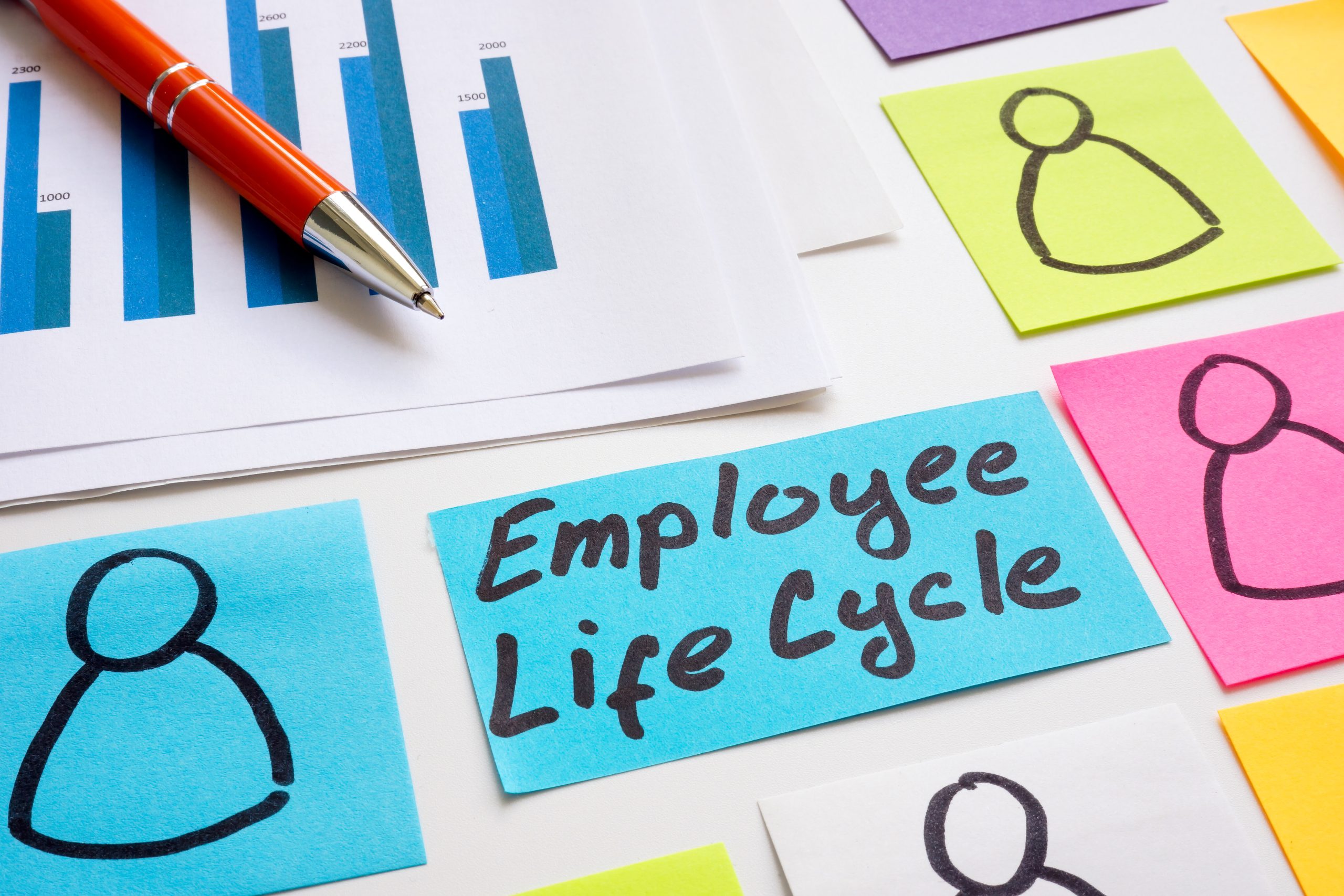 HR Role in Employee Life Cycle HR Role in Employee Life Cycle
